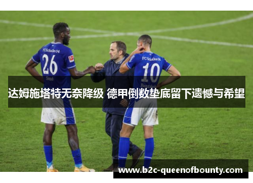 达姆施塔特无奈降级 德甲倒数垫底留下遗憾与希望